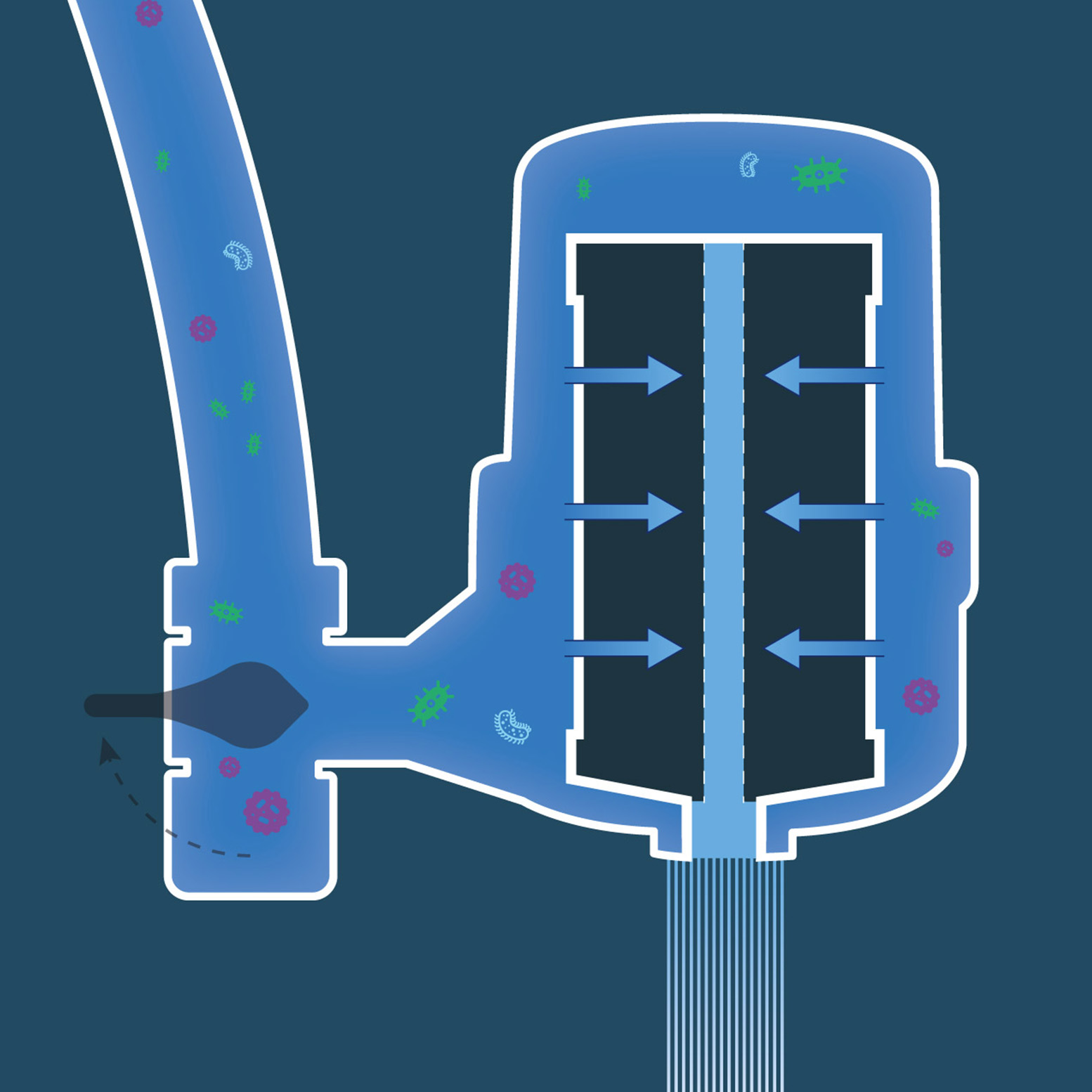 Filtre pour robinet Serenity Inox - Eau pure et écologique, fabriqué pour durer – Image 3